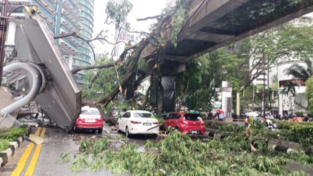 DBKL ordered to manage city’s ageing trees following Jalan Sultan Ismail incident that resulted in one death
