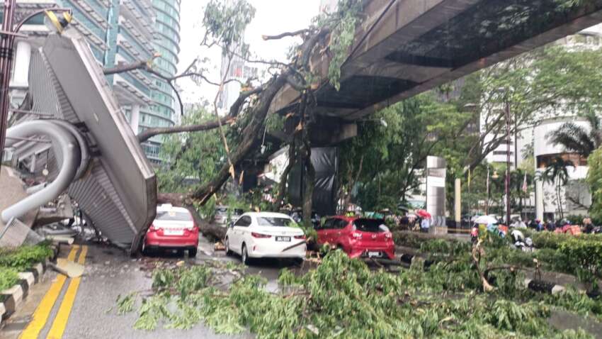 Fallen tree along Jalan Sultan Ismail causes damage to vehicles – Concorde Hotel stretch closed to traffic 1761047