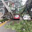 Pokok tumbang hempap beberapa buah kenderaan di Jalan Sultan Ismail berhampiran Hotel Concorde