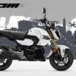 2025 Honda MSX125 Grom comes with new colours, official accessories include Comfort and Travel packs