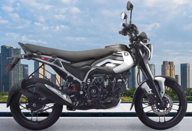 Bajaj Freedom 2024 is the world's first CNG motorcycle