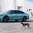 2024 Volkswagen Passat Pro debuts in China – larger than European wagon; 220 PS 2.0L TSI, 7-speed DSG