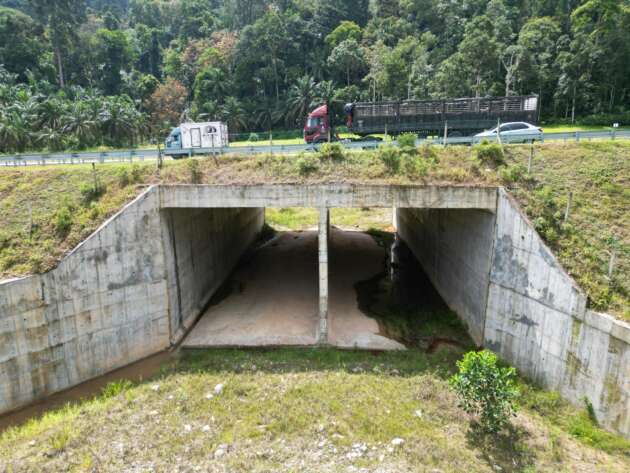 Pembinaan ‘Wildlife Crossings’ terdapat di beberapa lokasi panas – Lebuhraya WCE, KLK, LPT2, CSR