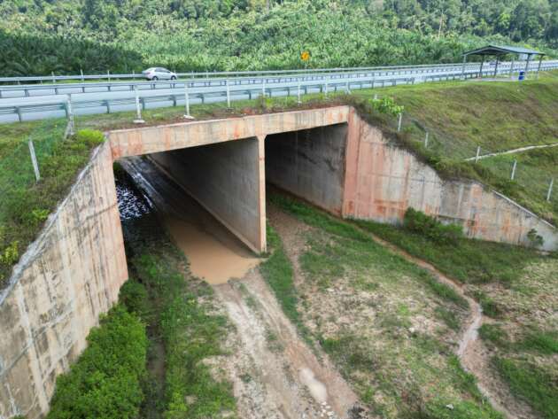 Pembinaan ‘Wildlife Crossings’ terdapat di beberapa lokasi panas – Lebuhraya WCE, KLK, LPT2, CSR