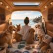 Xiaomi SkyNomad revealed – N90 and N70 EREV SUVs with transformable cabins, priced from RM118k?