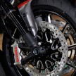Ducati Malaysia introduces the Diavel and Monster Art
