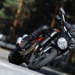 Ducati Malaysia introduces the Diavel and Monster Art