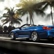 F12/F13 BMW M6 Coupe and Convertible unveiled!
