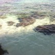 Harvinder and Julie explore Johor’s breathtaking Pulau Rawa in the season finale of Travel Safe and Save with PETRONAS PRIMAX 95 XTRA!