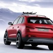 Cool Audi Q3 Vail Concept wears a winter sports theme