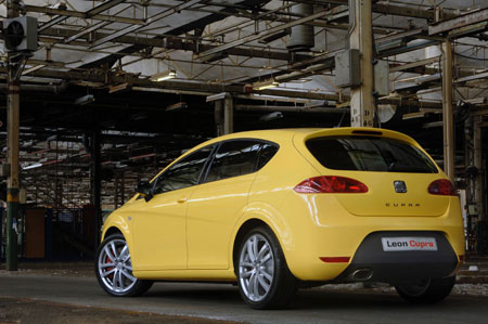 cupra2.jpg