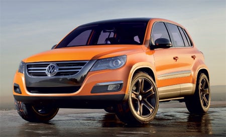 tiguan11.jpg